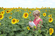 Agronomy expert examine sunflower field
