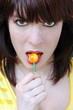 Der gelbe Lolli