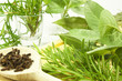 erbe aromatiche