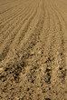 Foto: agricultural soil agricultural soil