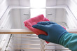 Hand cleaning refrigerator