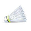 badminton shuttlecock