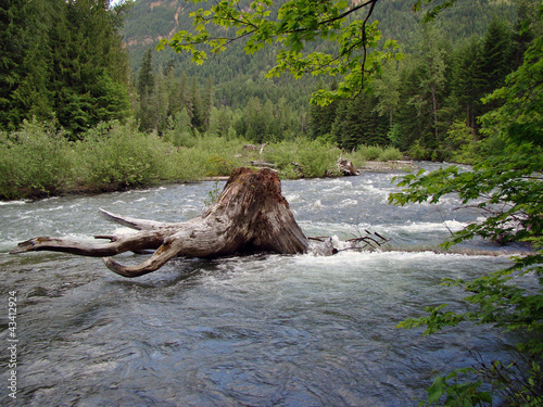 Foto: Canadian Wilderness Canadian Wilderness