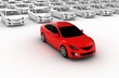 Rent a Car