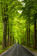 Photo: Beautiful road Beautiful road
