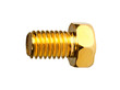 Gold screw