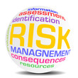 Vector: RISK MANAGNEMENT ball sphere world globe cloud RISK MANAGNEMENT ball sphere world globe cloud