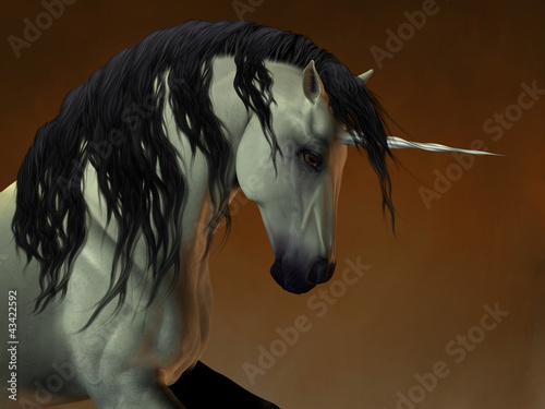 Illustration: Unicorn 02 Unicorn 02