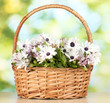 bouquet of beautiful summer flowers in basket,