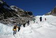Fox glacier