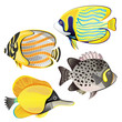 Vektor: Exotic fish set Exotic fish set