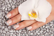 Fingernagel