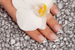 Fingernagel
