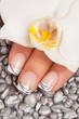Fingernagel
