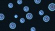 Video: Microbes are slowly moving around. Microbes are slowly moving around.