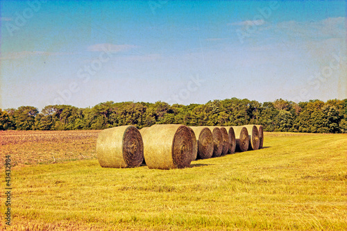 Photo: Bundle of hay Bundle of hay