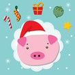 piggy christmas celebration