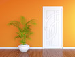 Illustration: White door and orange wall White door and orange wall