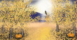 Autumn landscape with golden asp trees pumpkin owl