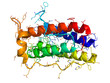 Leptin 3d molecule on white
