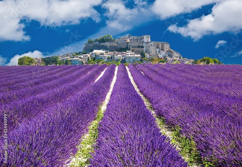 Fototapeta Lavande en Provence, village provençal en France