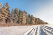 winter landscape