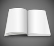 open spread of book with blank white pages vector illustration