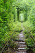 Tunnel of love