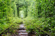 Tunnel of love