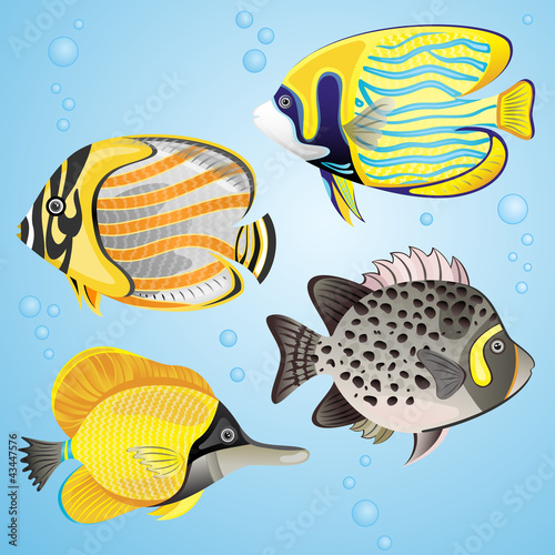 Vektor: Exotic fish set Exotic fish set