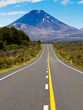Road leading to active volcanoe Mt Ngauruhoe in NZ