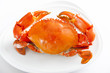 Boiled crabs prepared on plate.