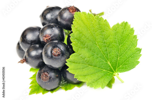 Photo: Blackcurrants with Green Leaves Isolated on White Background Blackcurrants with Green Leaves Isolated on White Background