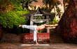 Yoga near temple