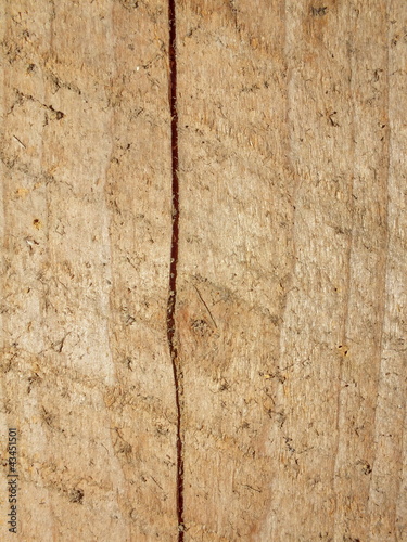 Foto: holz holz