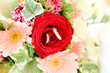 bouquet de fleurs de mariage