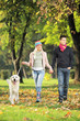Young couple holding hands and walking a dog