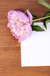 Pink peony with card on wooden background