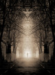 Photo: Gothic scene (grunge image). Gothic scene (grunge image).