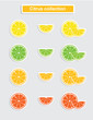 Citrus Sticker Collection