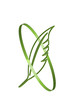 Bio