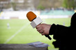 hand hold microphone for interview