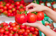 Tomaten im Frischeregal eines Supermarktes