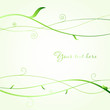 Vector: Green leaves and branches. Ecological vector background Green leaves and branches. Ecological vector background