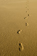 Footprints over Sand Dunes in the Desert