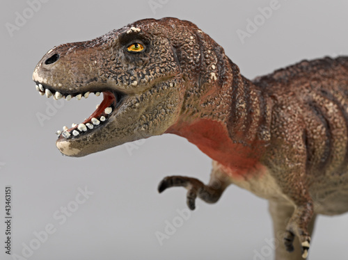 Photo: tyrannosaurus rex side view tyrannosaurus rex side view