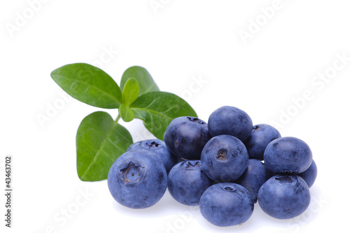 Photo: Bilberries Bilberries