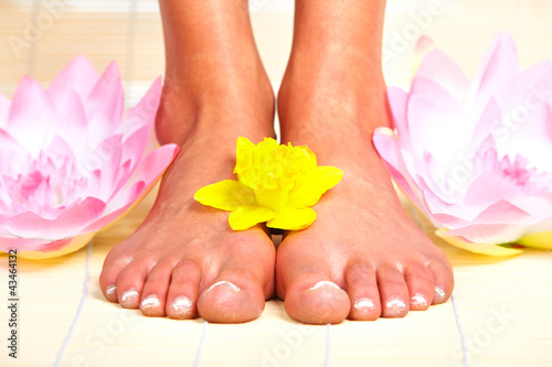Foto: Foot massage. Foot massage.