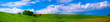 Field panorama