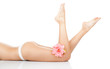 Beautiful female legs